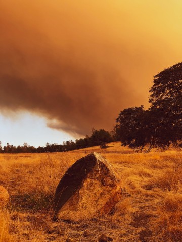 56338351637__0DA6195F-D8C8-473E-9091-0355A9B3896E-1